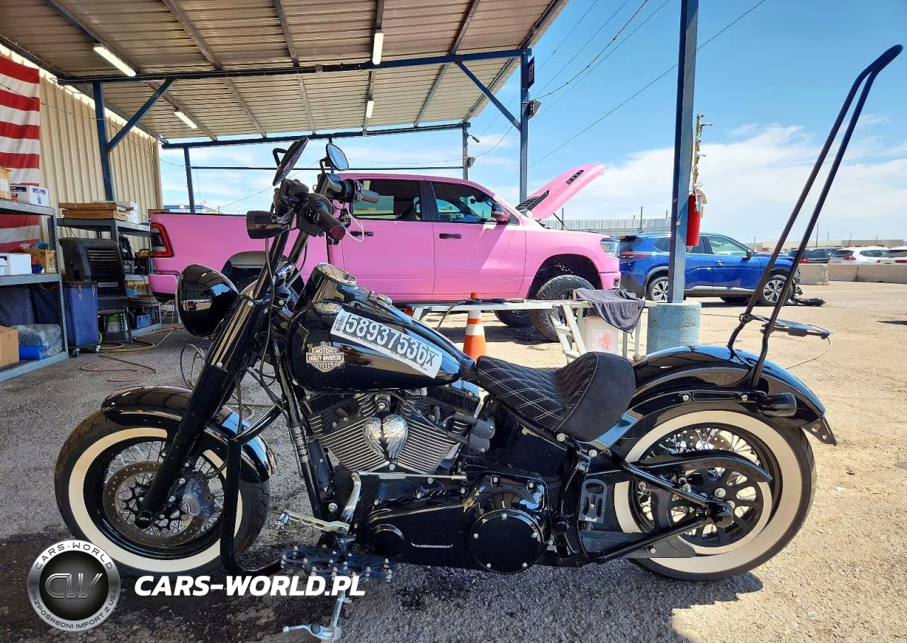 2017 Harley-Davidson Flss VIN:1HD1JS917HB045296 - 3
