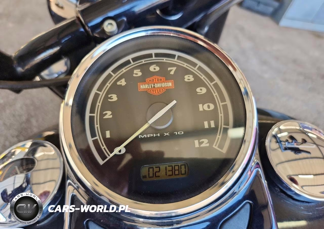 2017 Harley-Davidson Flss VIN:1HD1JS917HB045296 - 7