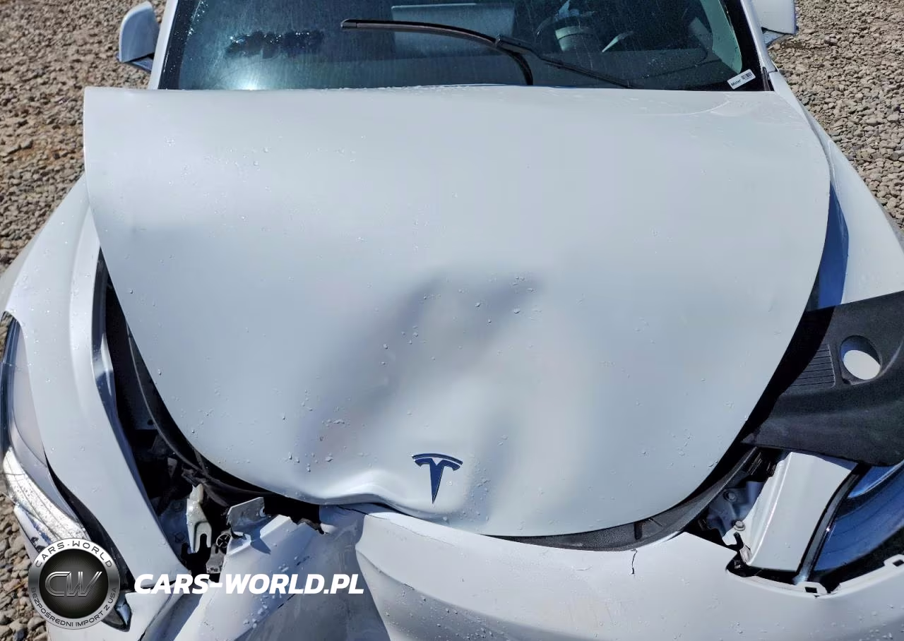 2020 Tesla Model 3 VIN:5YJ3E1EA7LF598213 - 11