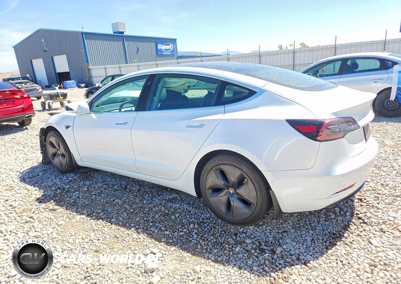 2020 Tesla Model 3 VIN:5YJ3E1EA7LF598213 - 2
