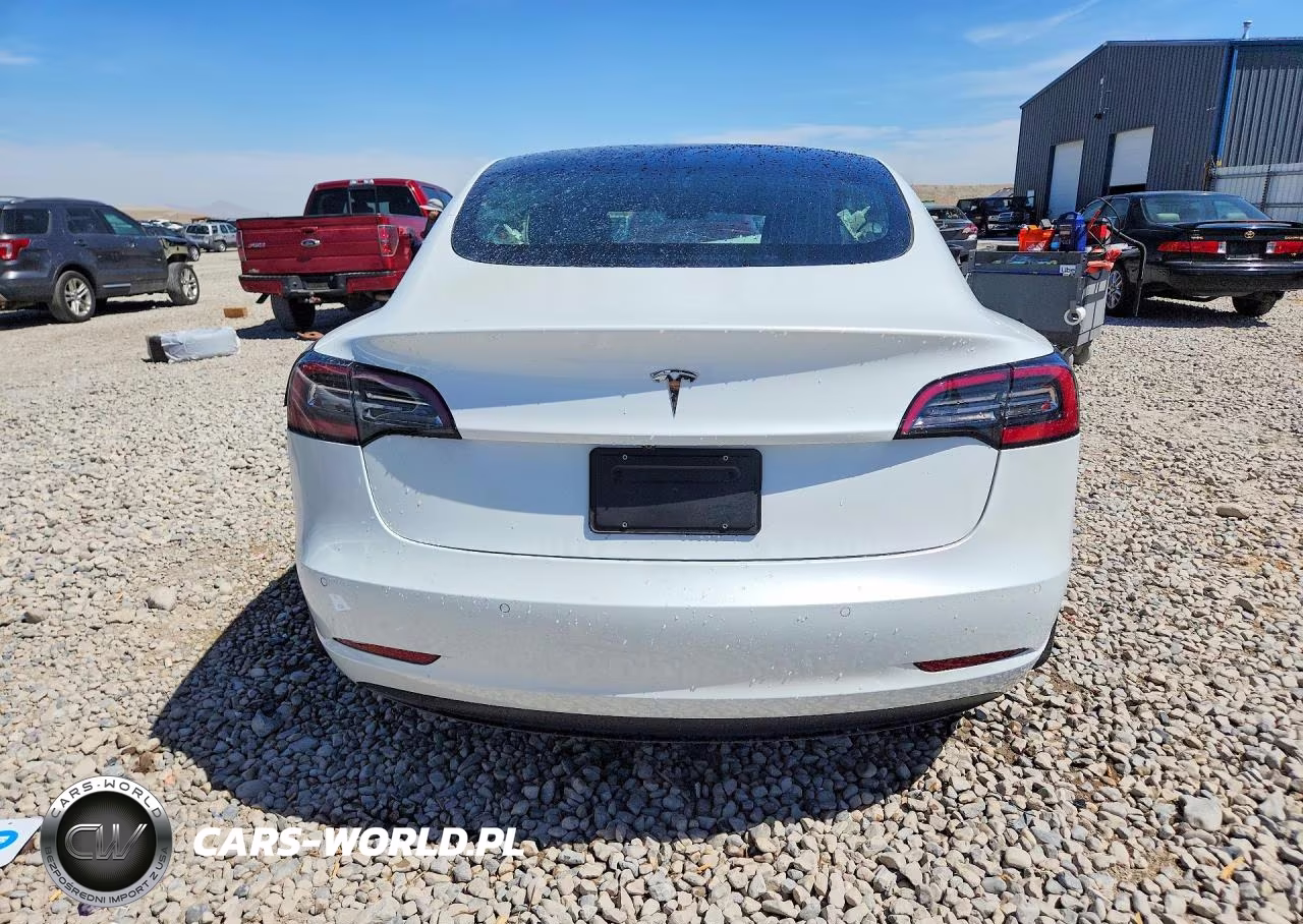 2020 Tesla Model 3 VIN:5YJ3E1EA7LF598213 - 6