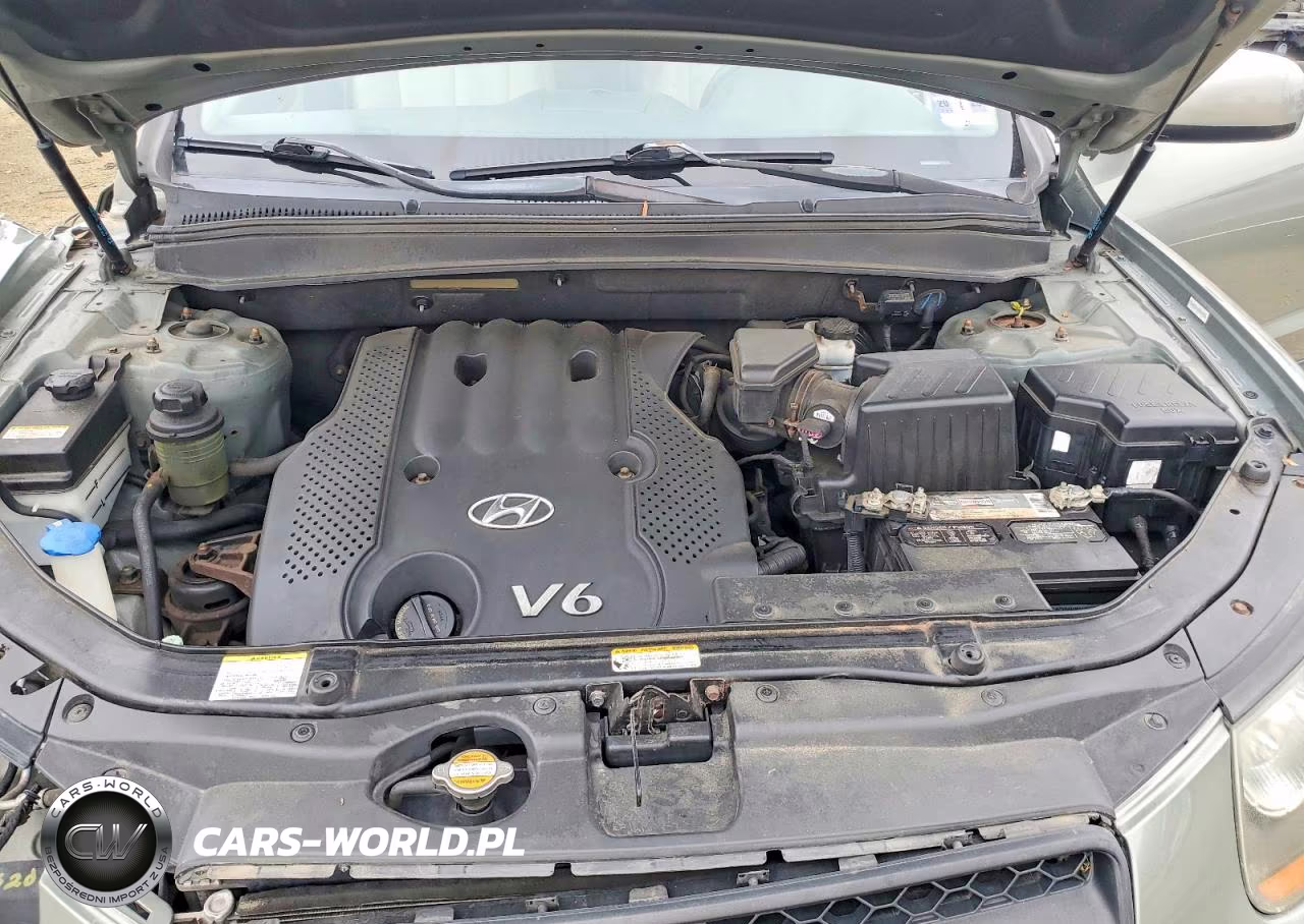 2008 Hyundai Santa Fe Gls VIN:5NMSG13D48H149791 - 12