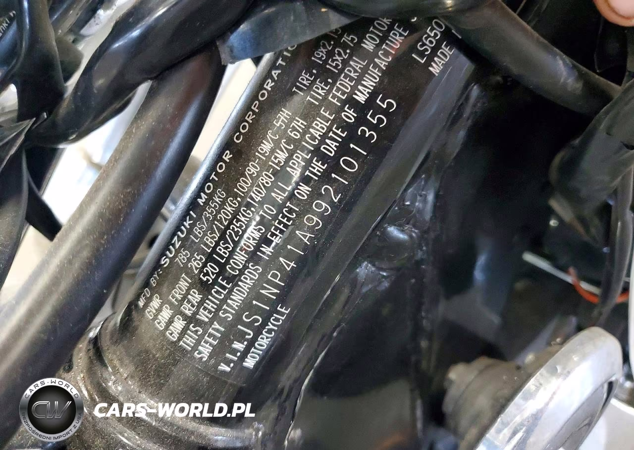 2009 Suzuki Ls650 VIN:JS1NP41A992101355 - 10