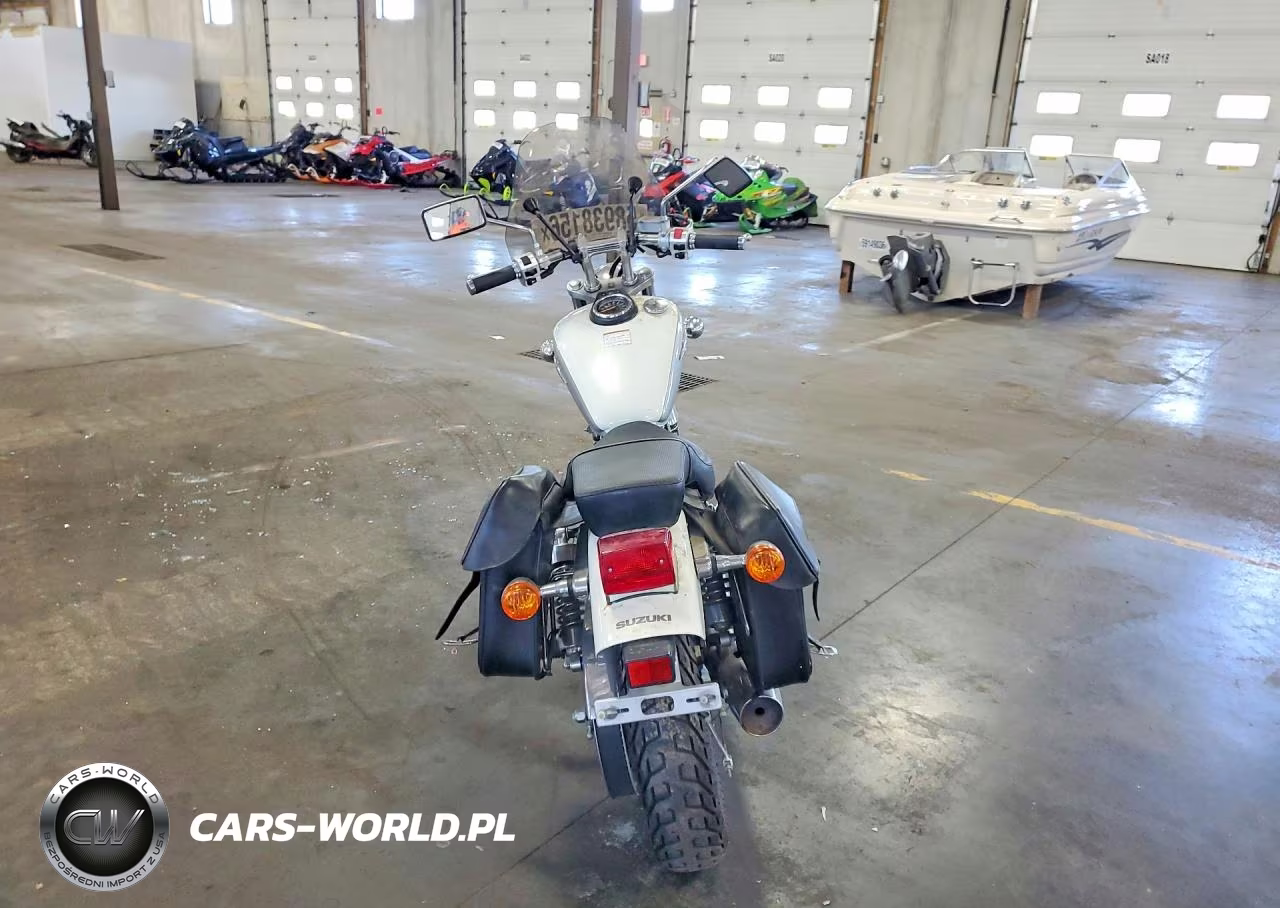 2009 Suzuki Ls650 VIN:JS1NP41A992101355 - 4