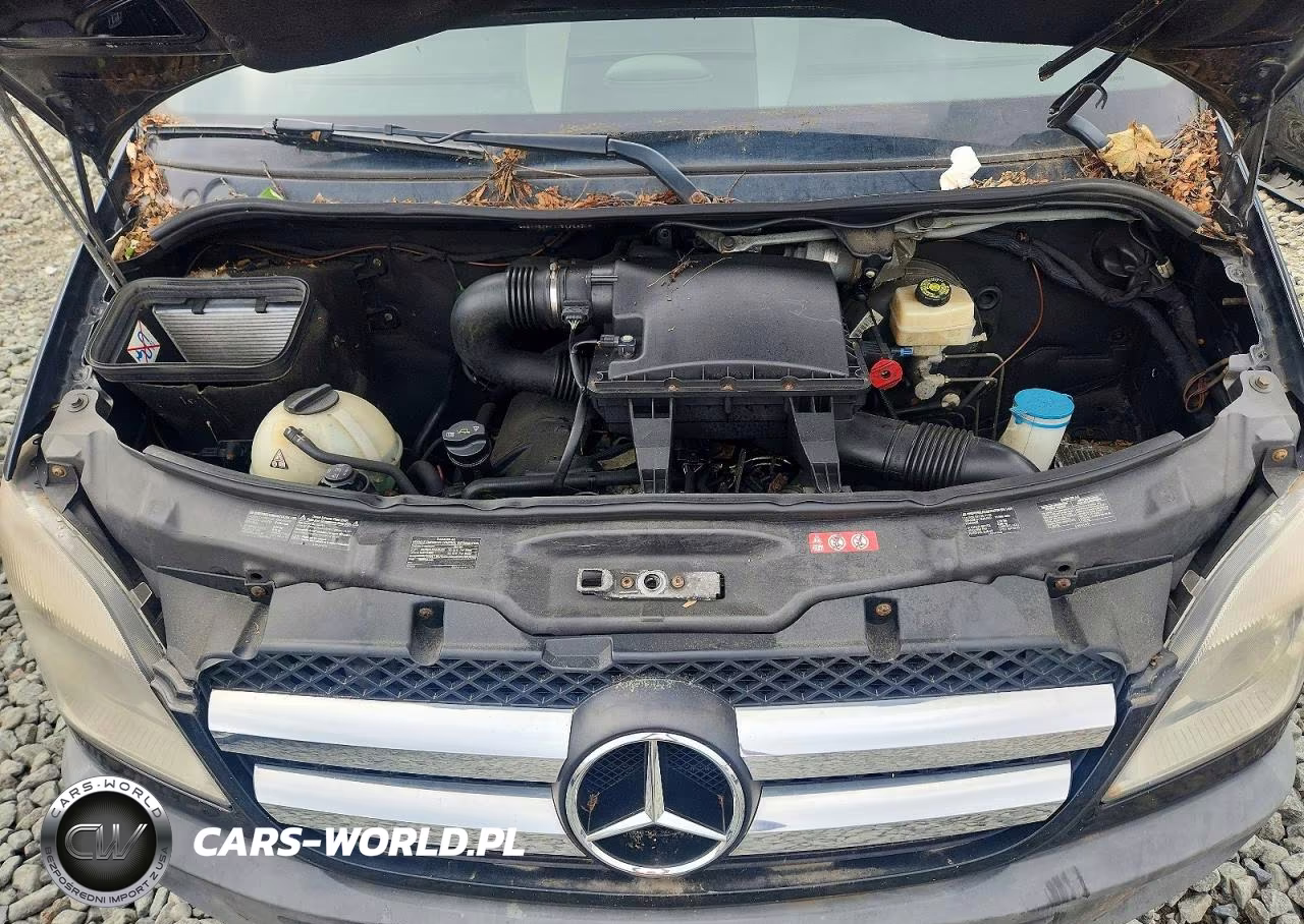 2010 Mercedes-Benz Sprinter 2500 VIN:WDZPE7CCXA5478817 - 12
