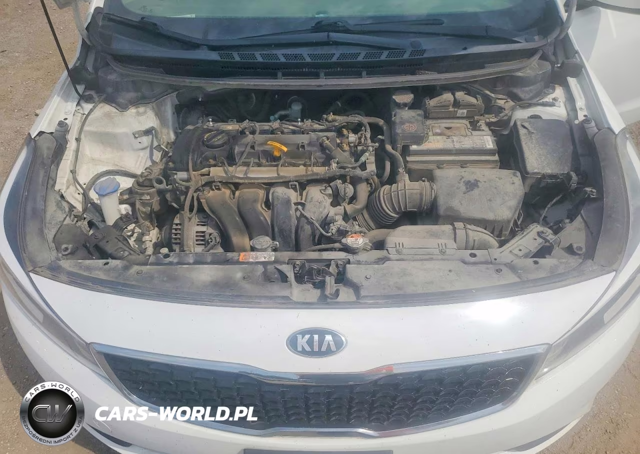 2017 Kia Forte Lx VIN:3KPFK4A73HE093509 - 12