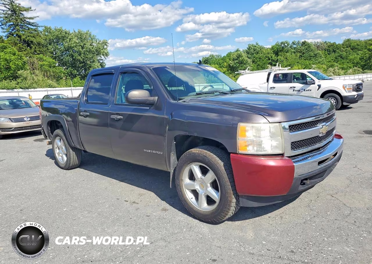 2010 Chevrolet Silverado K1500 Ls VIN:3GCRKREA8AG266614 - 4
