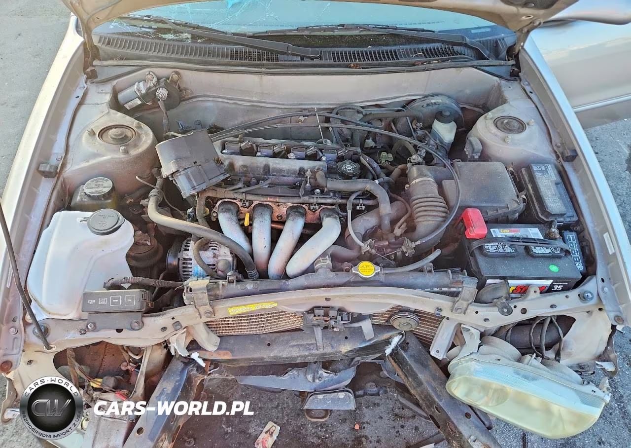 2002 Toyota Corolla Le VIN:1NXBR12E52Z618385 - 11