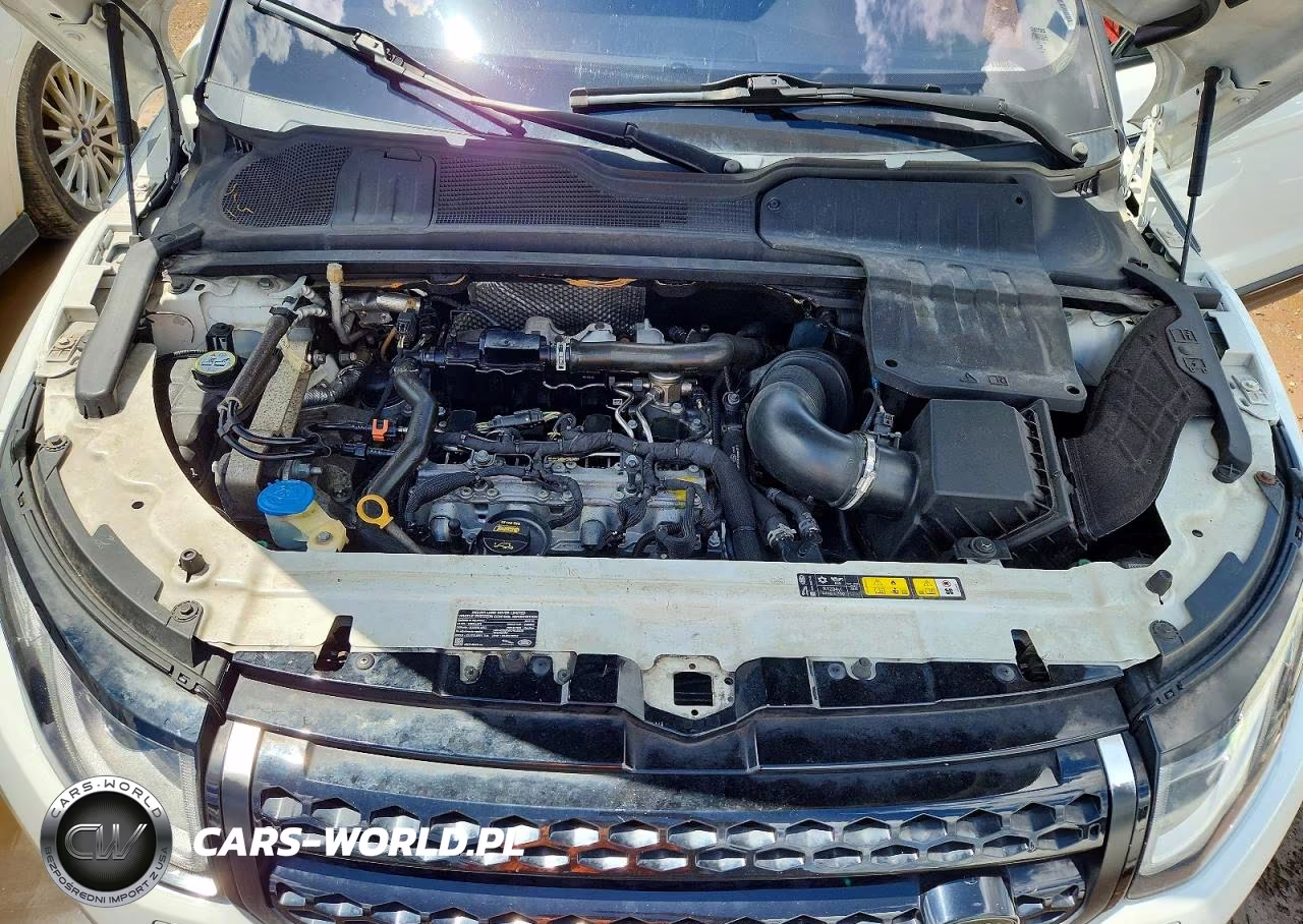 2019 Land Rover Range Rover Evoque Se VIN:SALVP2RX5KH344952 - 11