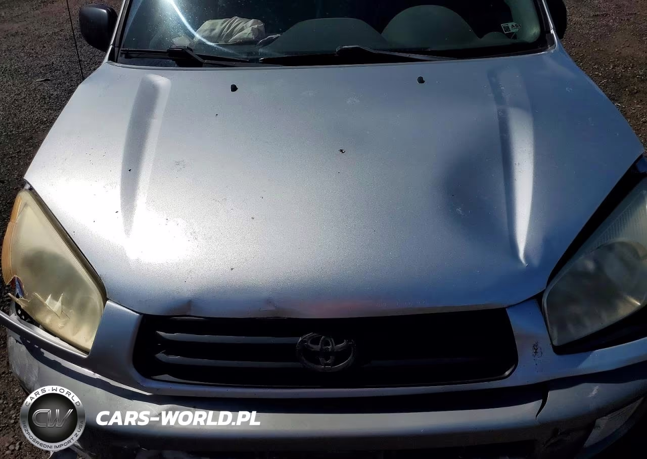 2002 Toyota Rav4 Base VIN:JTEGH20V426008158 - 12