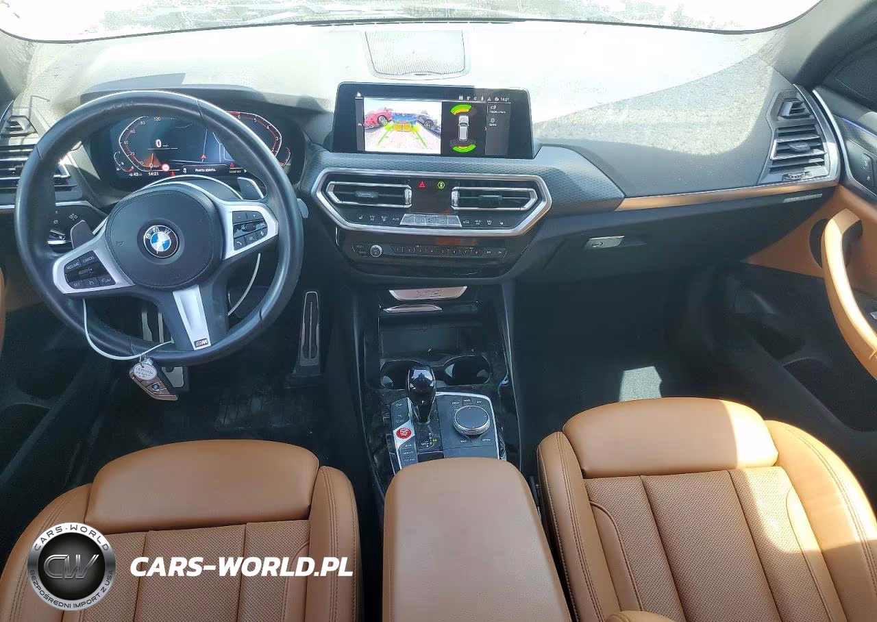 2023 BMW X3 Sdrive30I VIN:5UX43DP05P9P13132 - 10