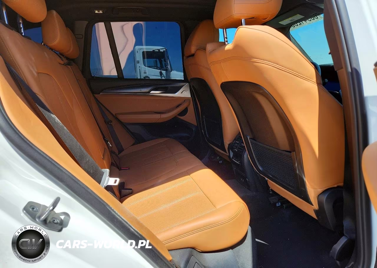 2023 BMW X3 Sdrive30I VIN:5UX43DP05P9P13132 - 11