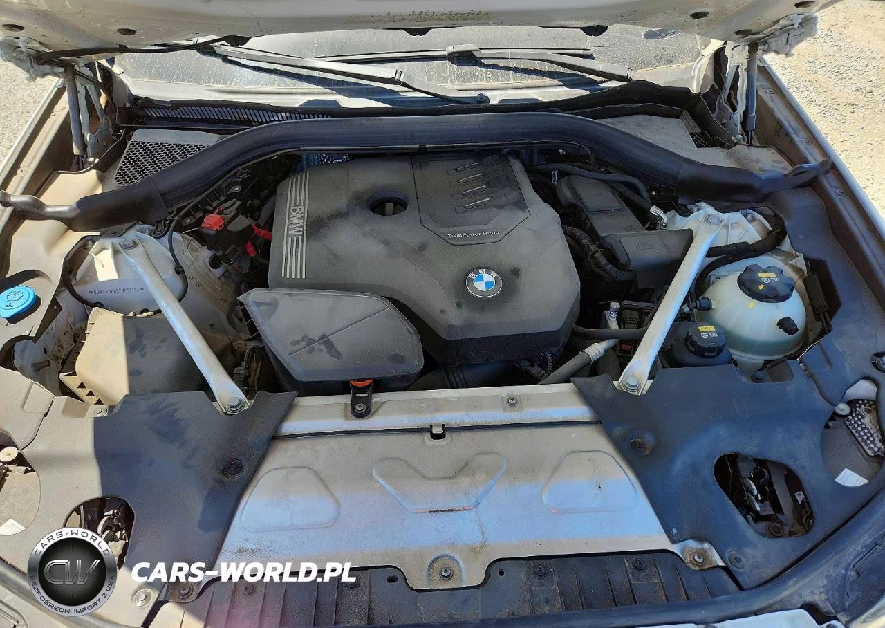 2023 BMW X3 Sdrive30I VIN:5UX43DP05P9P13132 - 12