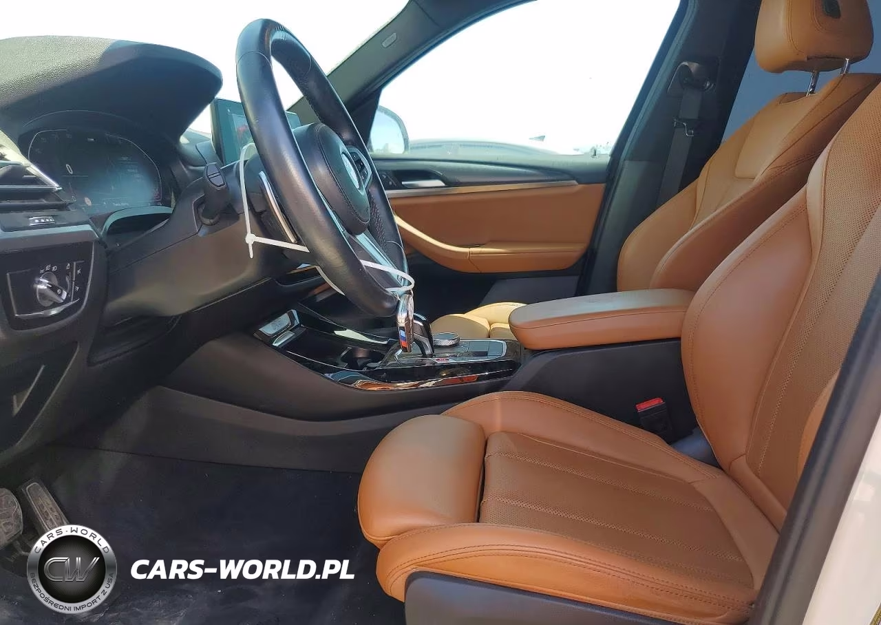2023 BMW X3 Sdrive30I VIN:5UX43DP05P9P13132 - 7