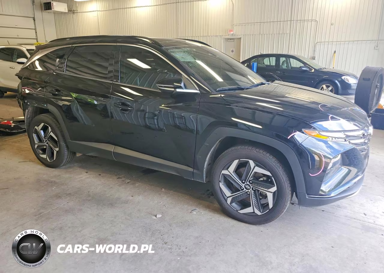 2022 Hyundai Tucson Limited VIN:5NMJECAE6NH074628 - 4