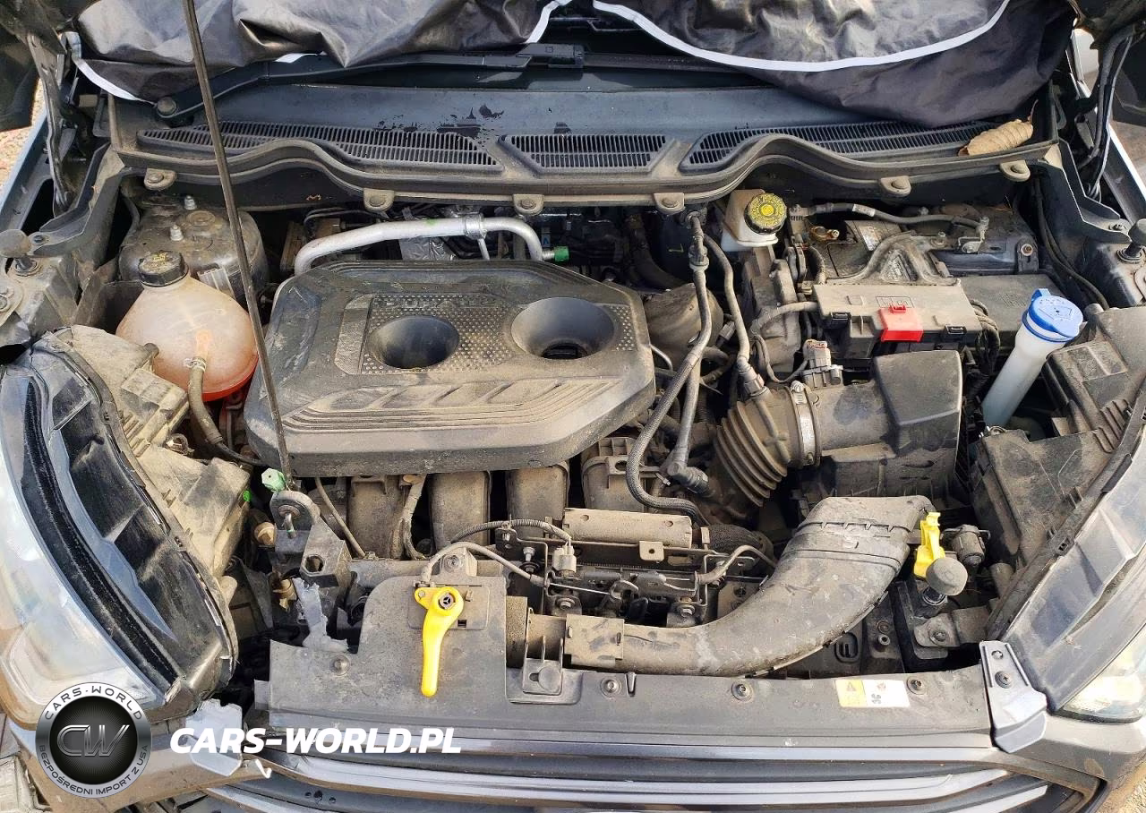 2018 Ford Ecosport Ses VIN:MAJ6P1CL6JC166921 - 12