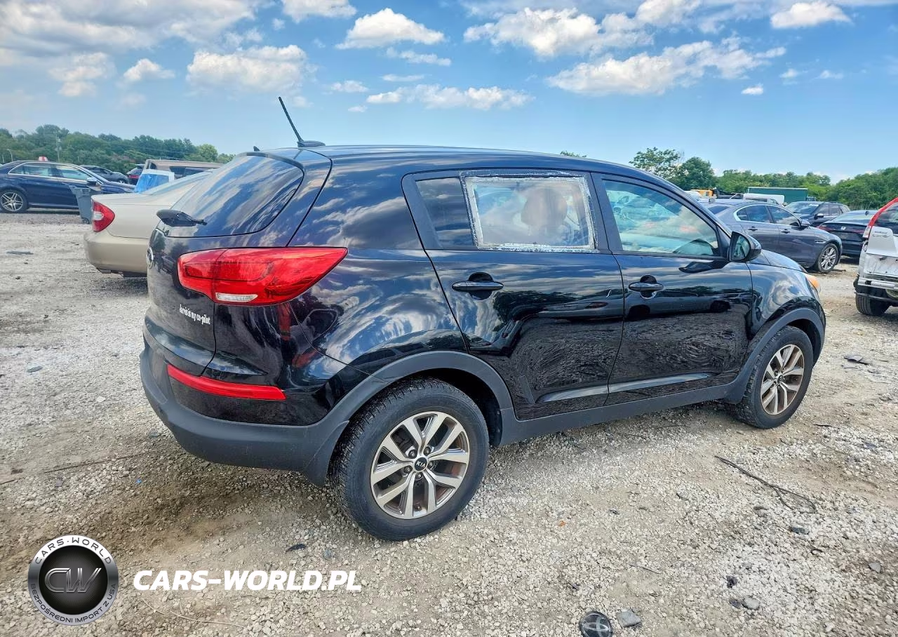 2016 Kia Sportage Lx VIN:KNDPB3AC3G7863668 - 3