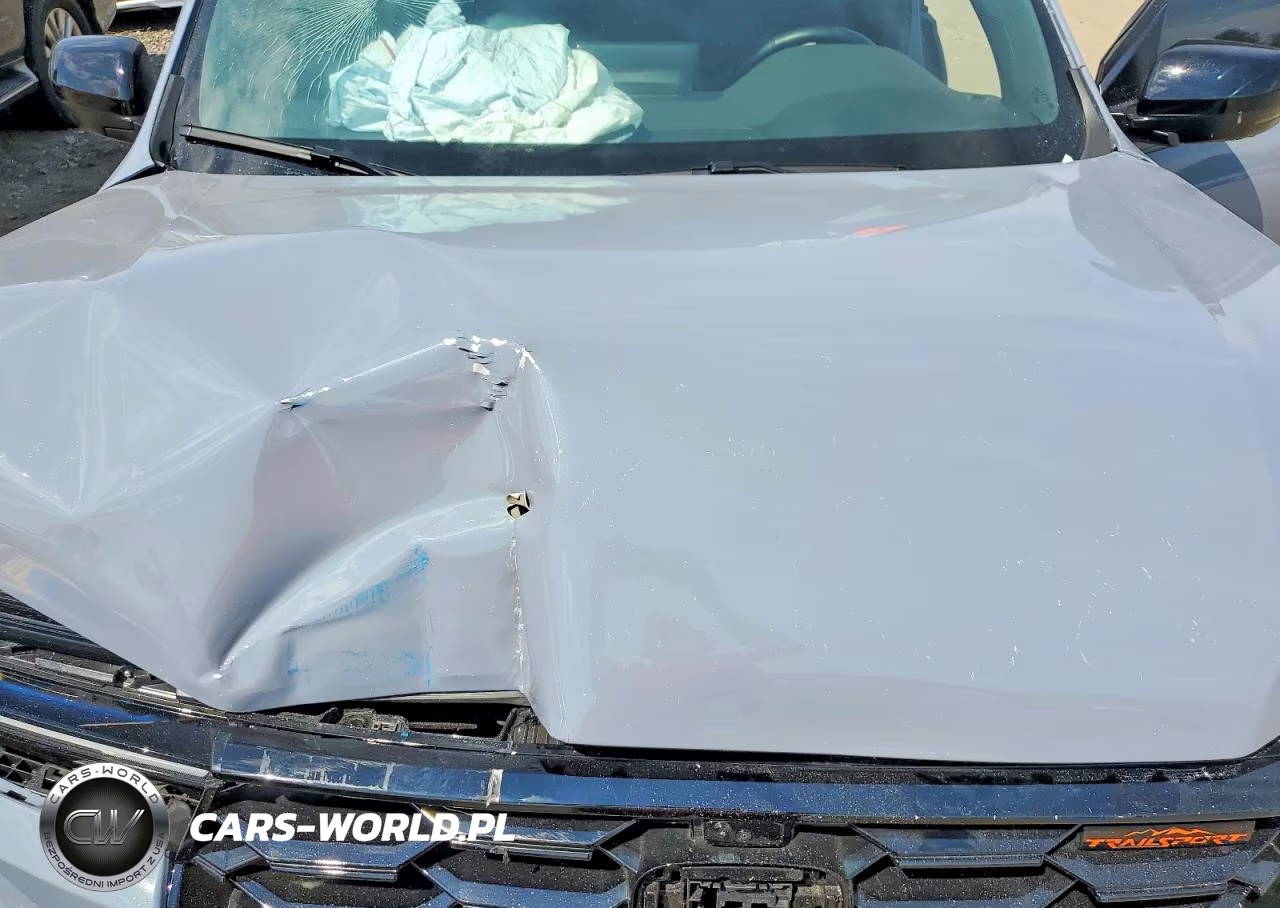 2025 Honda Pilot Trailsport VIN:5FNYG1H63SB146541 - 12