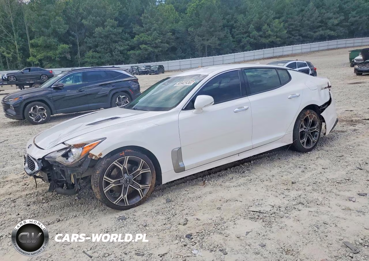 2019 Kia Stinger Base VIN:KNAE15LA2K6064428 - 1