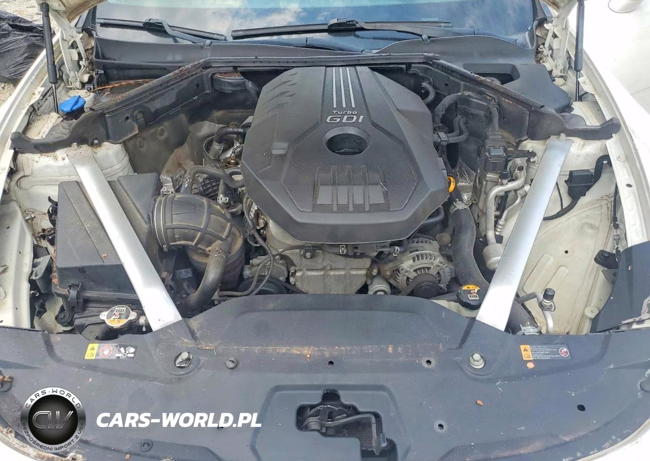 2019 Kia Stinger Base VIN:KNAE15LA2K6064428 - 11