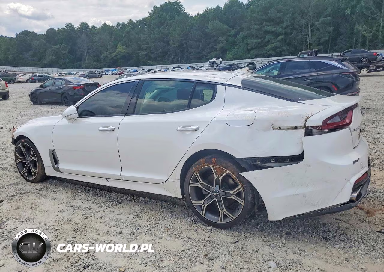 2019 Kia Stinger Base VIN:KNAE15LA2K6064428 - 2