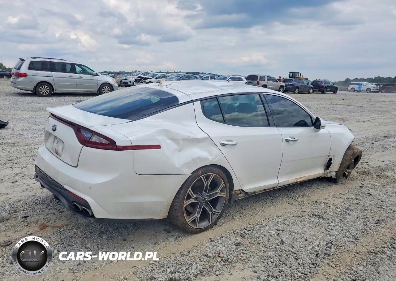 2019 Kia Stinger Base VIN:KNAE15LA2K6064428 - 3