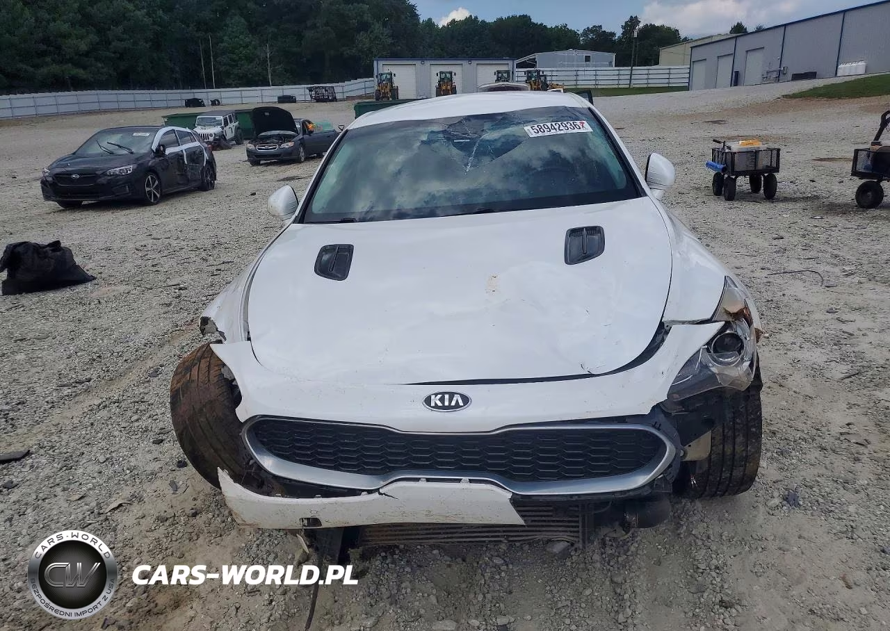 2019 Kia Stinger Base VIN:KNAE15LA2K6064428 - 5