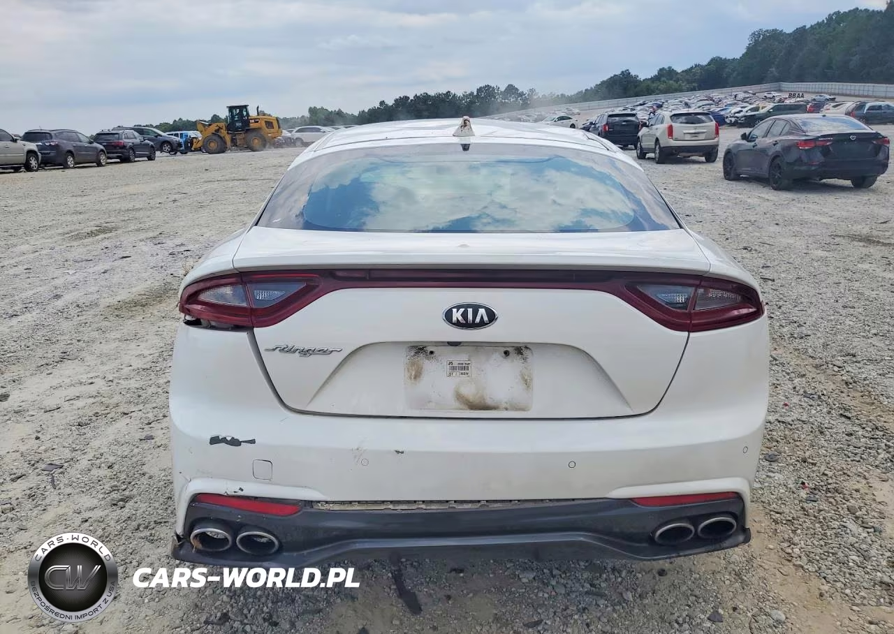 2019 Kia Stinger Base VIN:KNAE15LA2K6064428 - 6