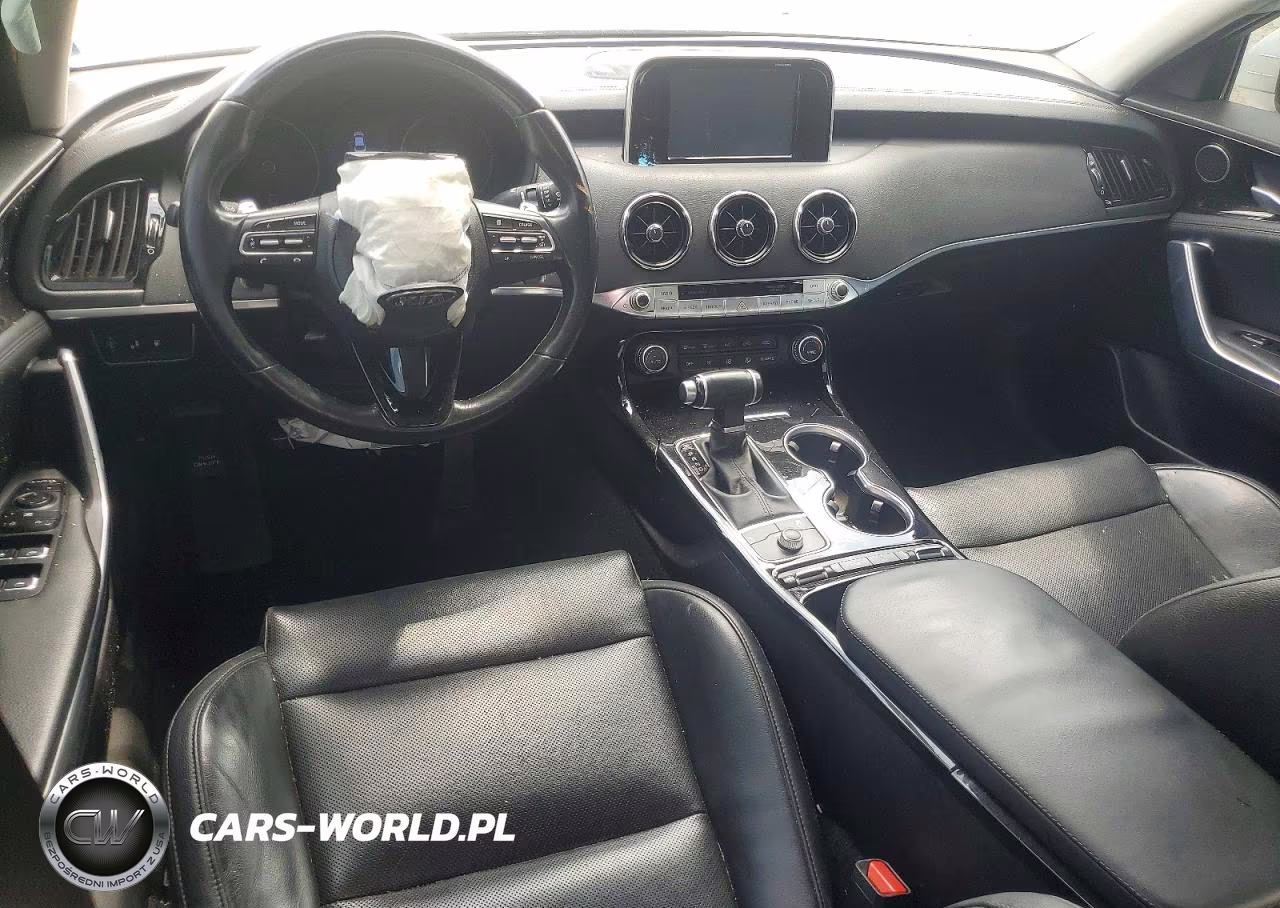 2019 Kia Stinger Base VIN:KNAE15LA2K6064428 - 8
