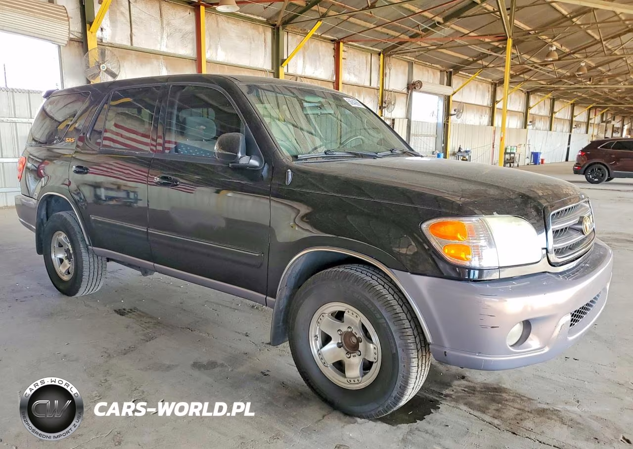 2002 Toyota Sequoia Sr5 VIN:5TDZT34A82S119045 - 4