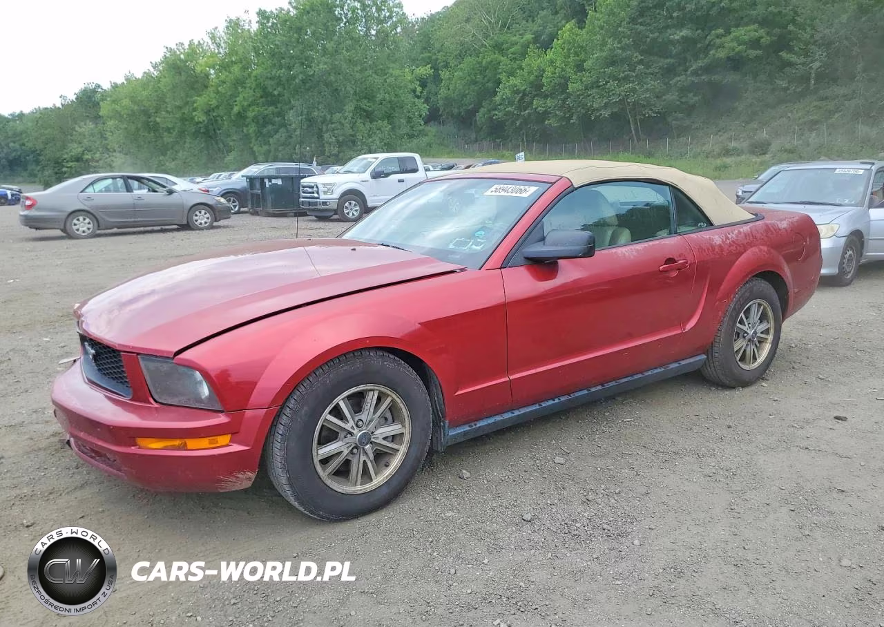 2005 Ford Mustang – zdjęcie 1 z 12