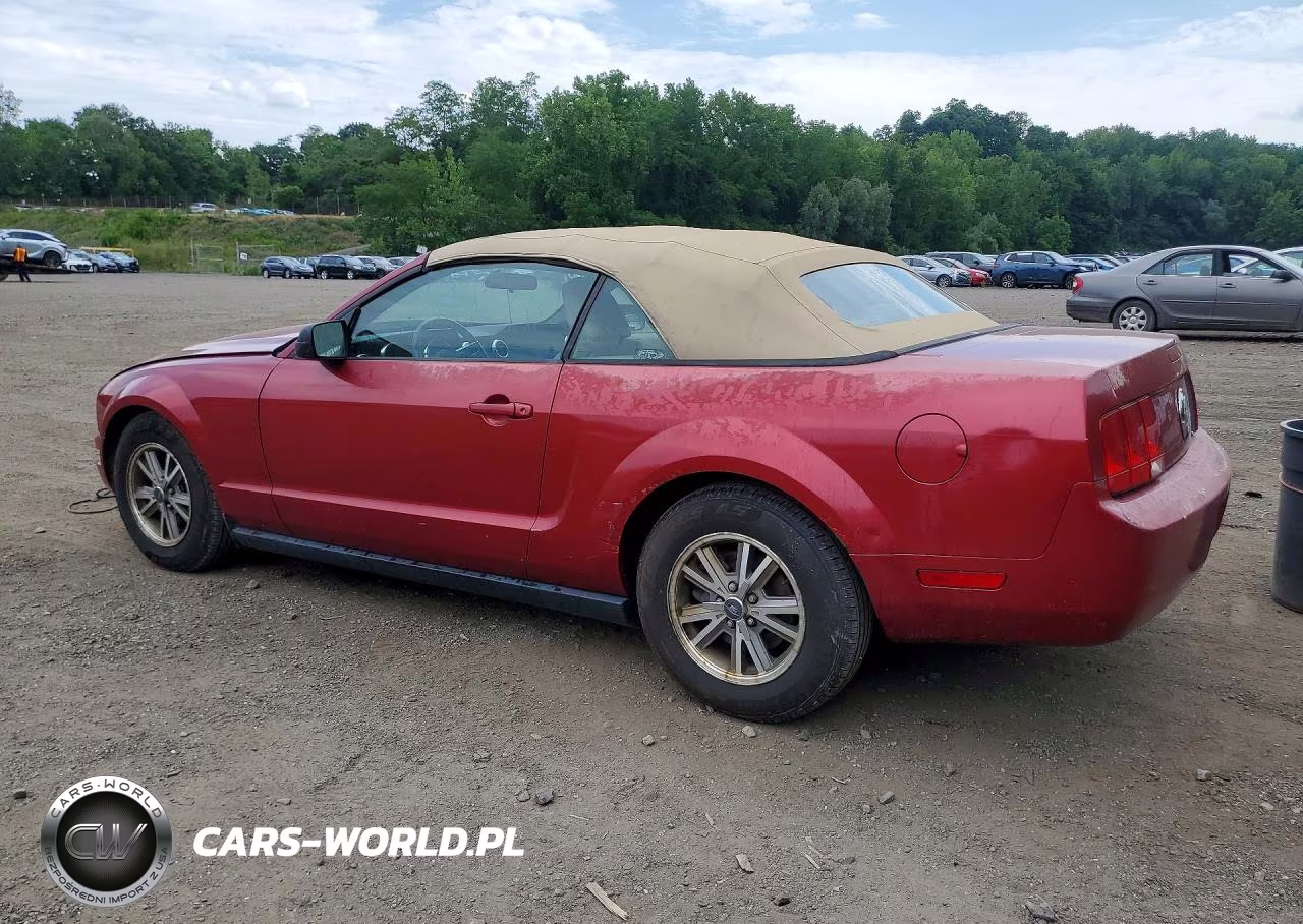 2005 Ford Mustang VIN:1ZVFT84N455227592 - 2