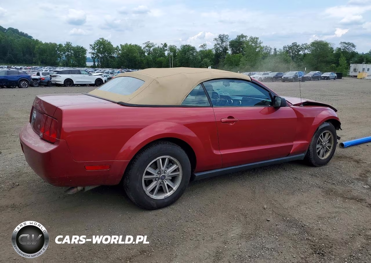 2005 Ford Mustang VIN:1ZVFT84N455227592 - 3