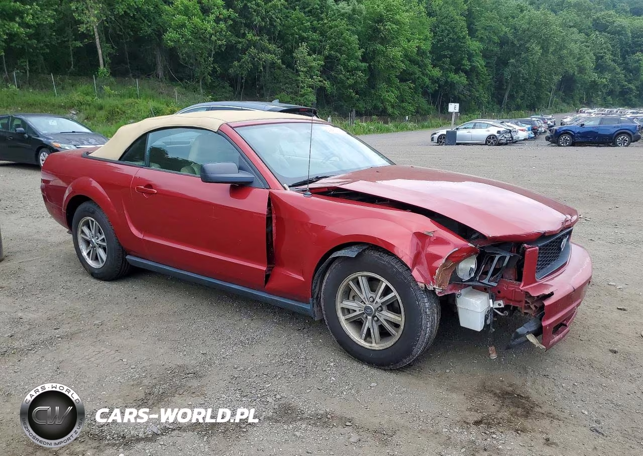 2005 Ford Mustang VIN:1ZVFT84N455227592 - 4