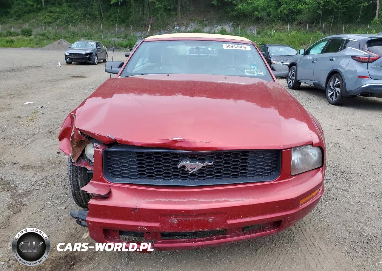 2005 Ford Mustang VIN:1ZVFT84N455227592 - 5