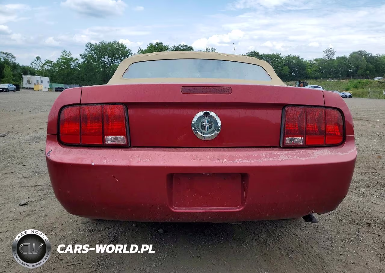 2005 Ford Mustang VIN:1ZVFT84N455227592 - 6
