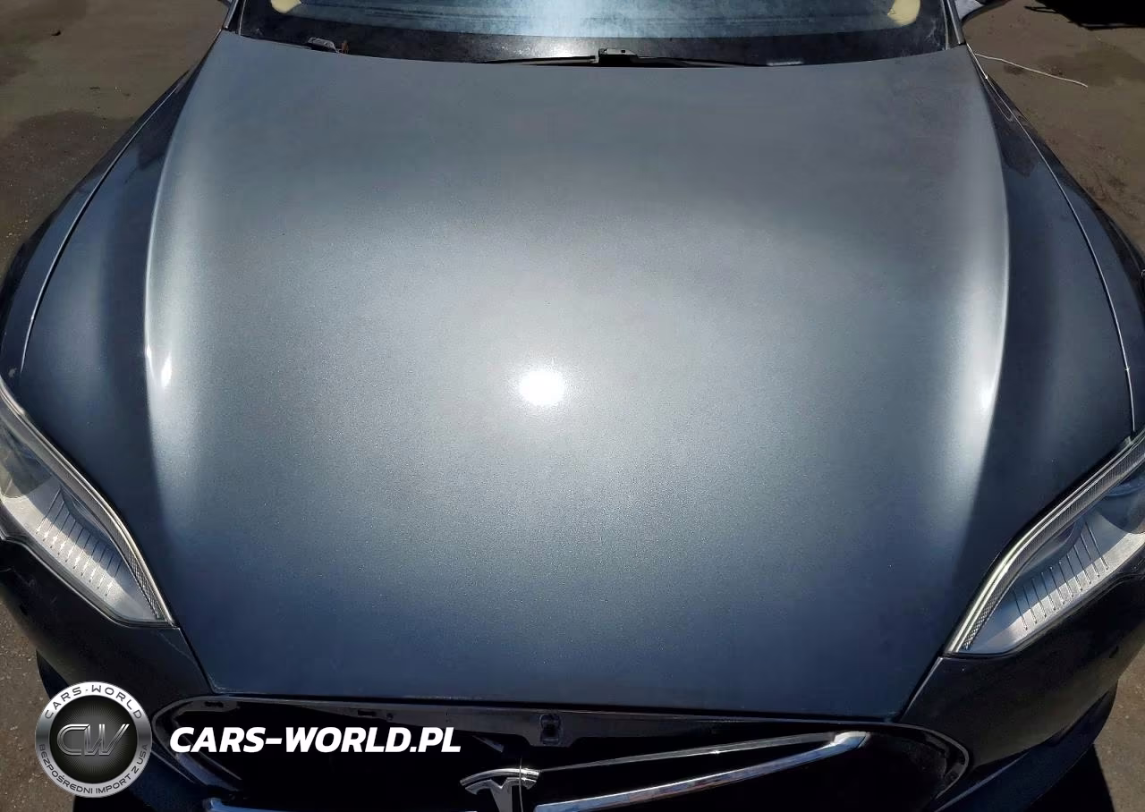 2013 Tesla Model S Performance VIN:5YJSA1CP4DFP23684 - 11