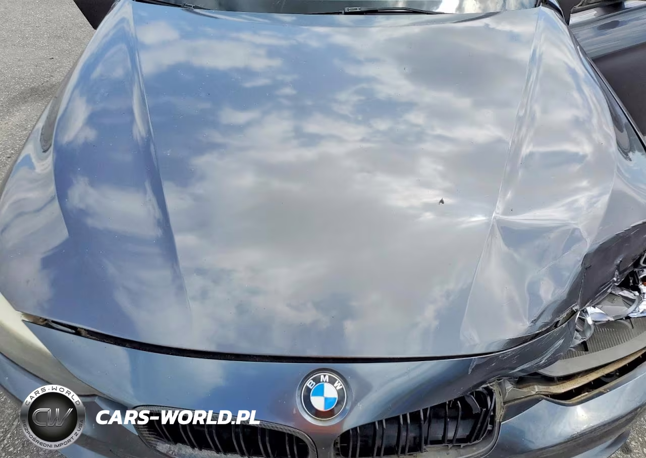 2013 BMW 320 I VIN:WBA3B1C55DK128777 - 11