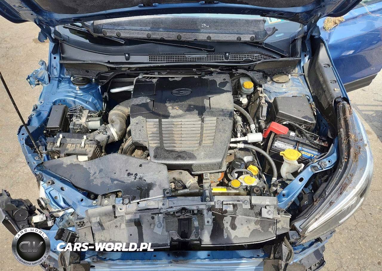 2019 Subaru Forester Premium VIN:JF2SKAEC5KH529493 - 12