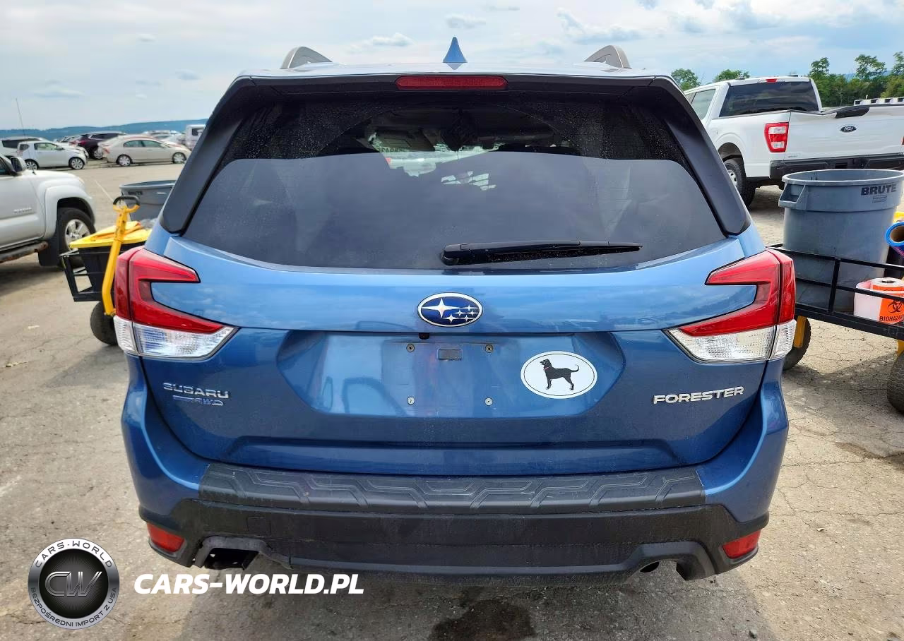 2019 Subaru Forester Premium VIN:JF2SKAEC5KH529493 - 6