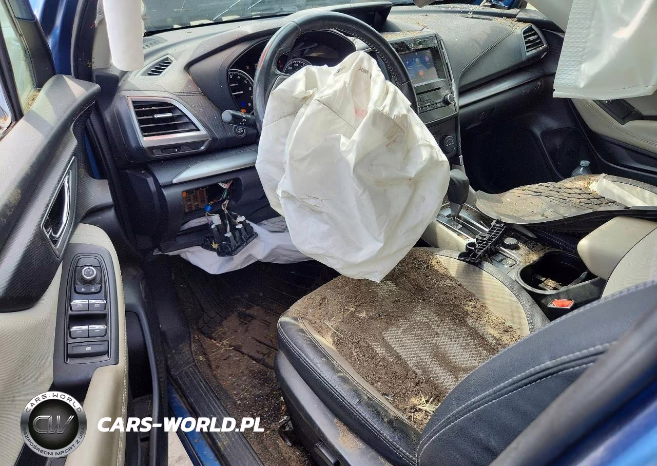 2019 Subaru Forester Premium VIN:JF2SKAEC5KH529493 - 8