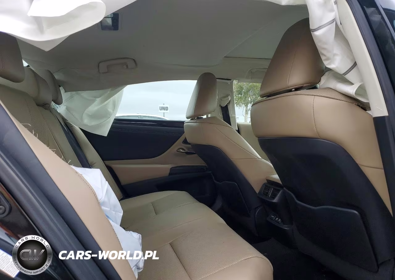 2019 Lexus Es 300H VIN:58AB21B1XKU002885 - 10
