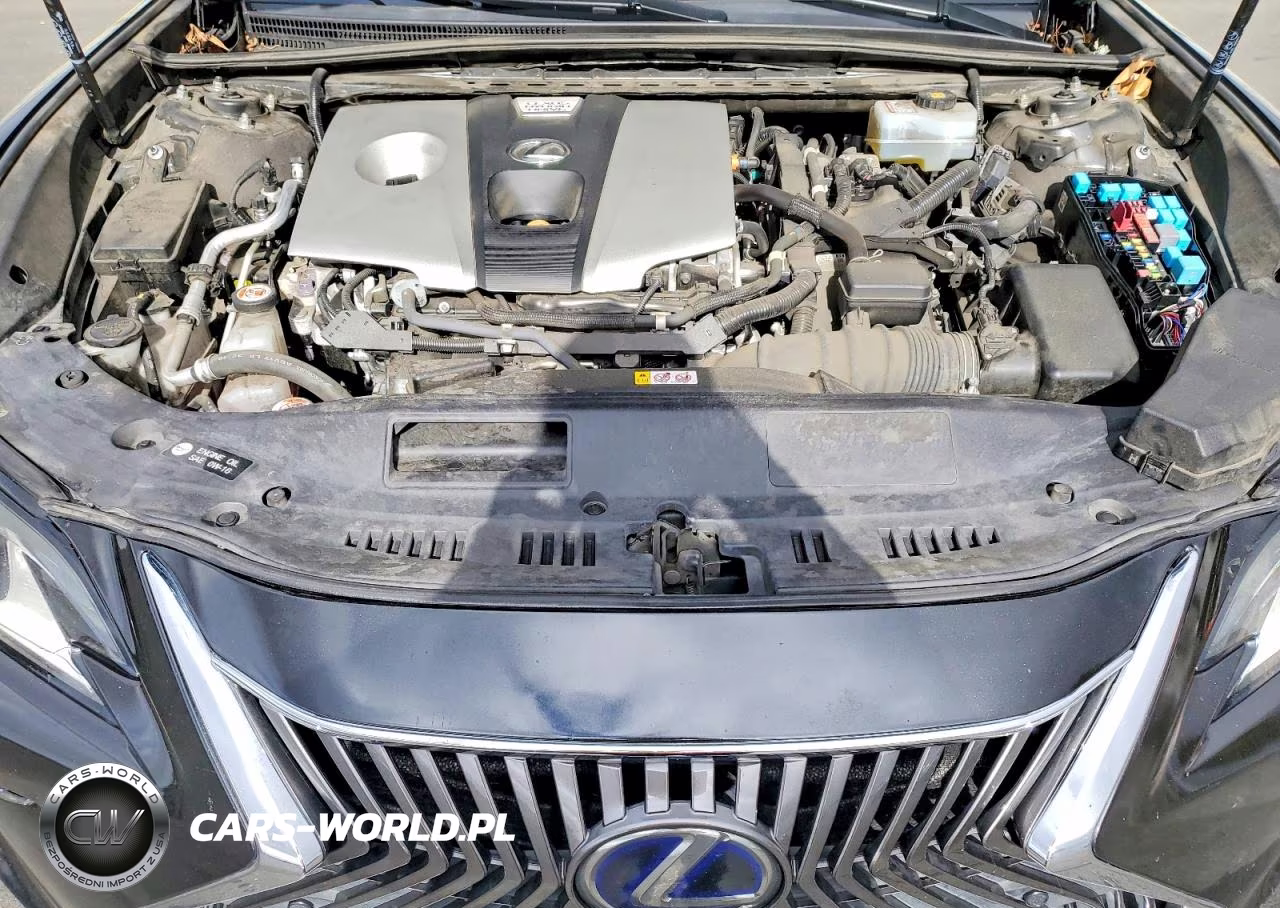 2019 Lexus Es 300H VIN:58AB21B1XKU002885 - 11