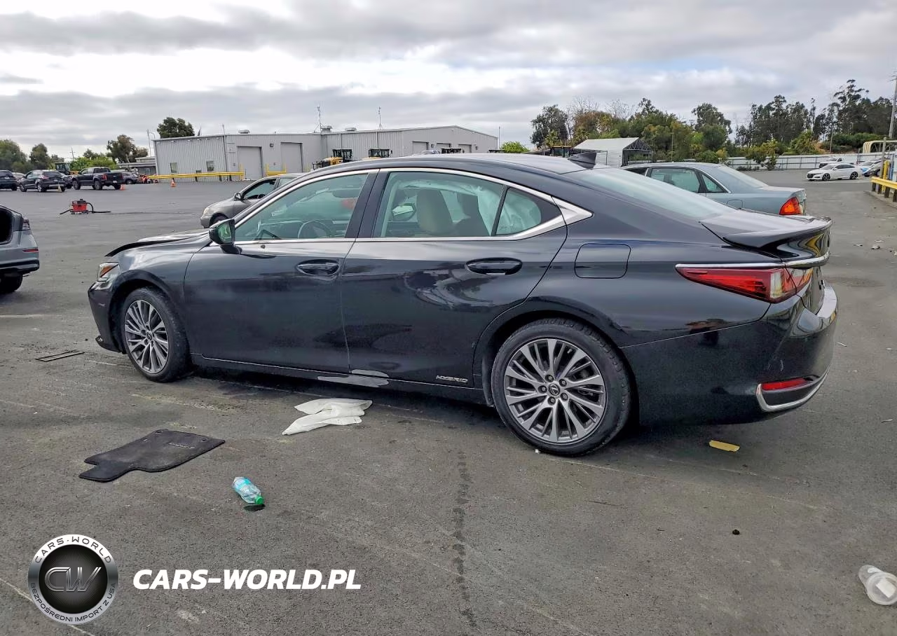 2019 Lexus Es 300H VIN:58AB21B1XKU002885 - 2