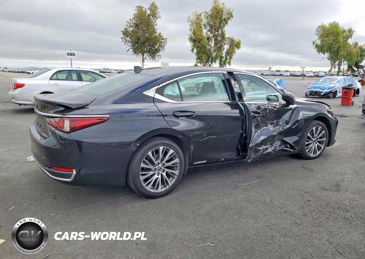 2019 Lexus Es 300H VIN:58AB21B1XKU002885 - 3