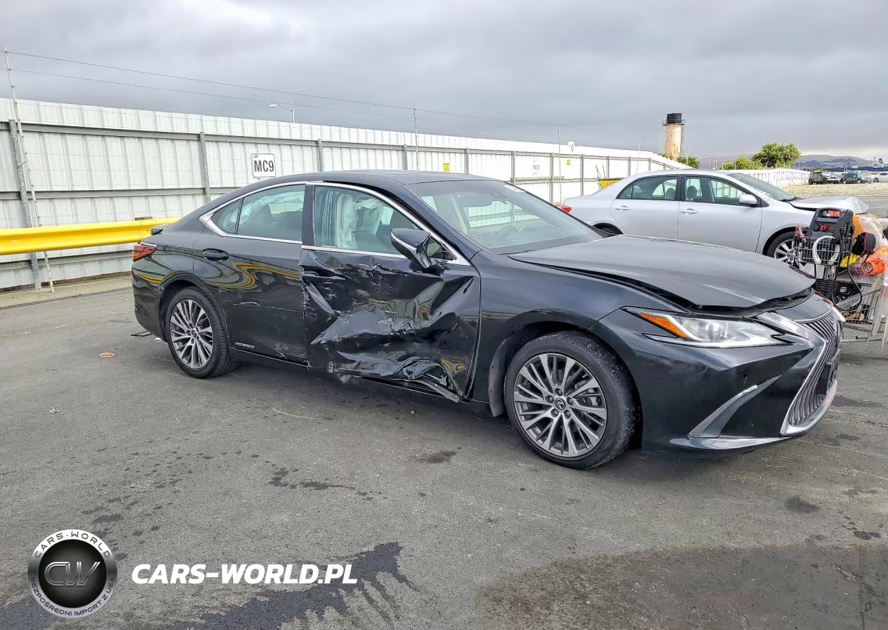 2019 Lexus Es 300H VIN:58AB21B1XKU002885 - 4