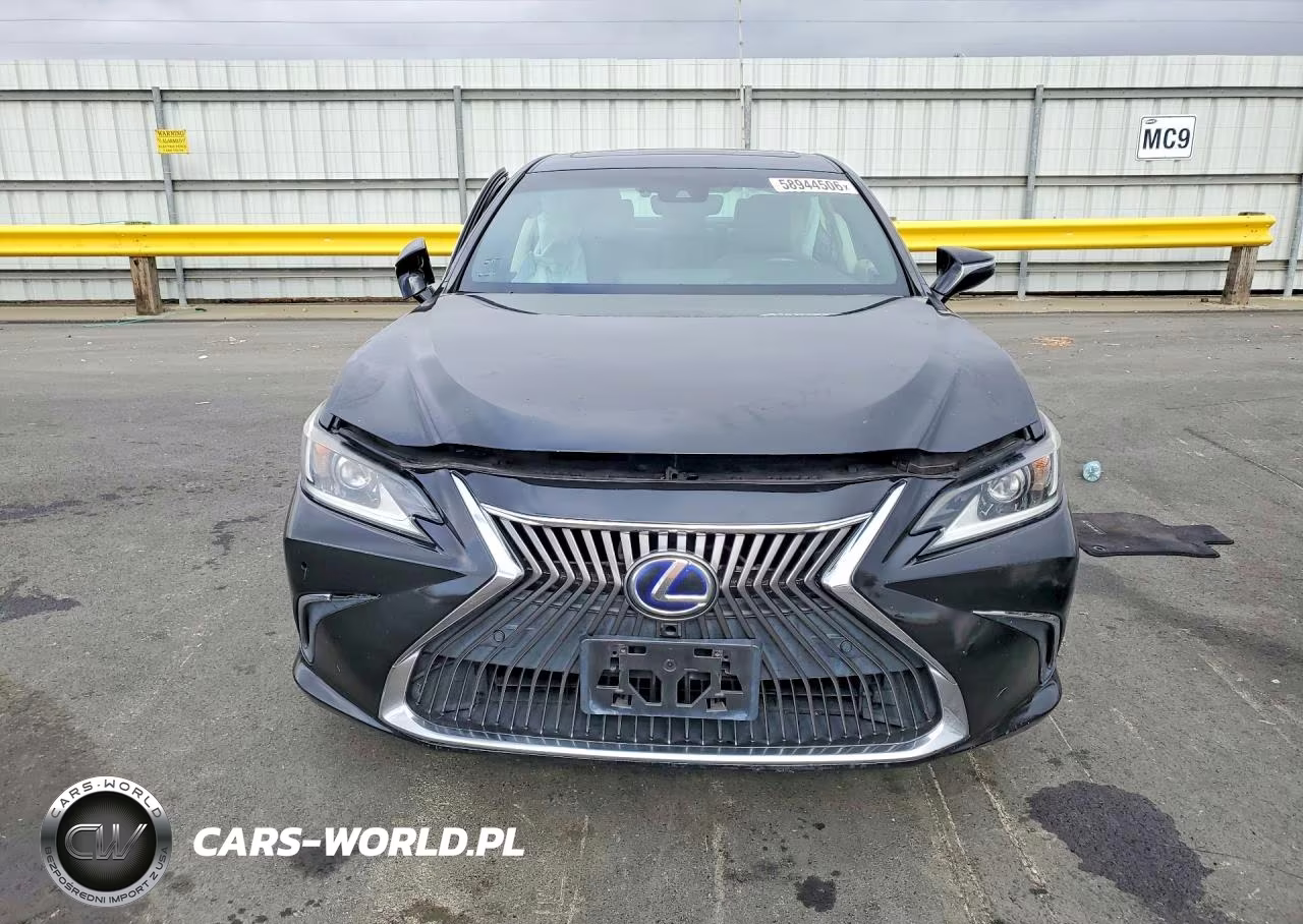 2019 Lexus Es 300H VIN:58AB21B1XKU002885 - 5