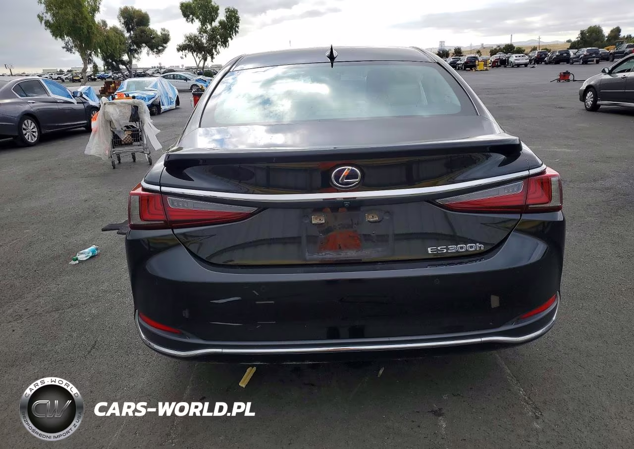 2019 Lexus Es 300H VIN:58AB21B1XKU002885 - 6