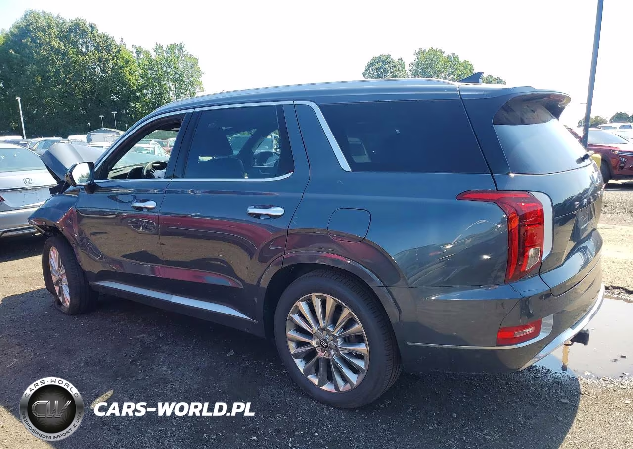 2020 Hyundai Palisade Limited VIN:KM8R5DHE8LU140001 - 2