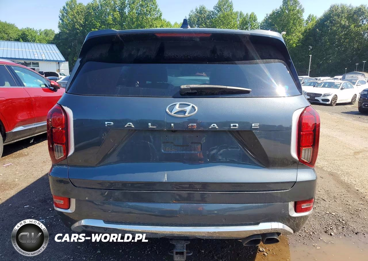 2020 Hyundai Palisade Limited VIN:KM8R5DHE8LU140001 - 6